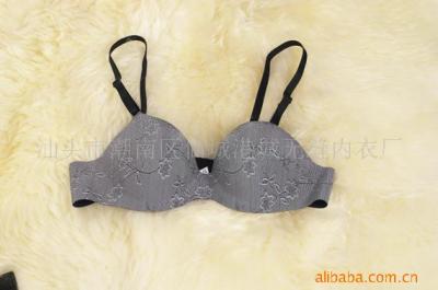 One Piece Bra (One Piece Bra)