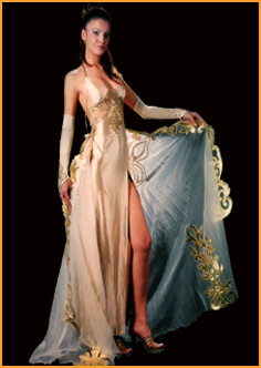 Evening Dress (Abendkleid)