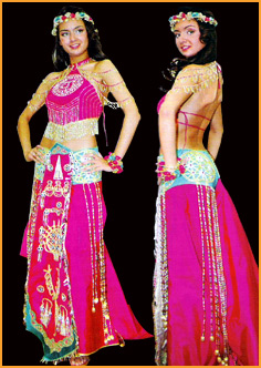 Fancy Evening Dress (Fancy Abendkleid)