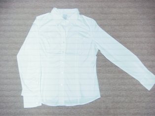 Ladies `Blusen (Ladies `Blusen)