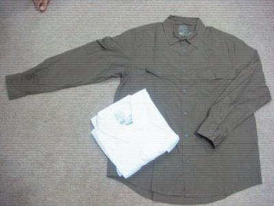 Men`s Shirts