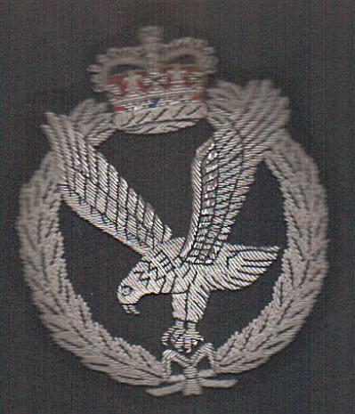 Airline Corps Badges (Airline Corps Badges)