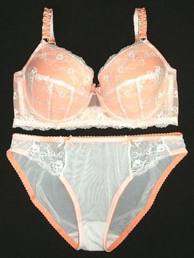 Full Figure Padded Bra / Bikini