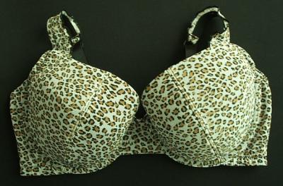 Padded Bra