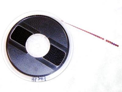 Spangle Sequins (Spangle Sequins)