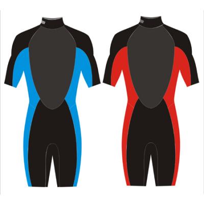 Surfing Suit, Wet Suit (Серфинг костюм, костюм для подводного плавания)