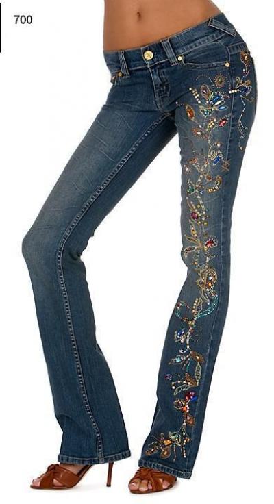 Ladies Low Waist Embroidered Jeans (Mesdames Taille Basse Jeans brodé)
