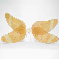 Fairy Wings Costume (Fairy Wings Costume)