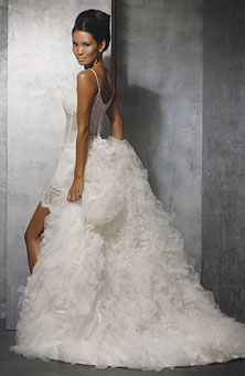 Wedding Dress (Wedding Dress)