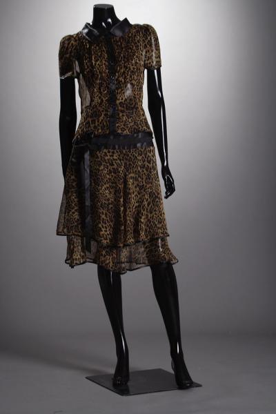 Leopard Print Silk Dress (Leopard Print Silk Dress)
