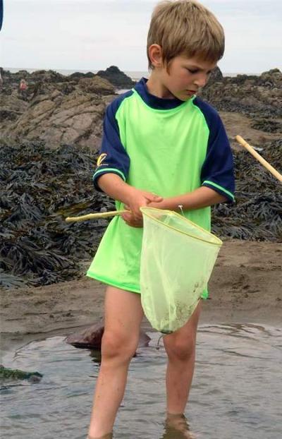 Lycra Shirt, UV T-Shirt-Lime %26 Navy, Rash Guard (Lycra Shirt, UV T-Shirt-Lime %26 Navy, Rash Guard)