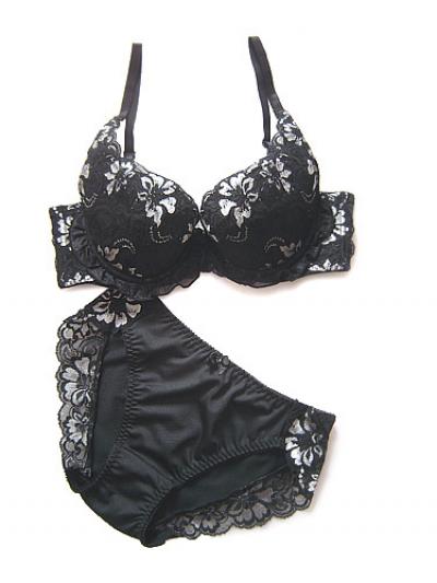 Bra %26 Brief Sets (BH% 26 Brief-Sets)