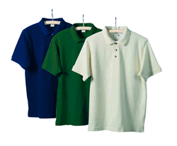 Polo Shirt (Polo)