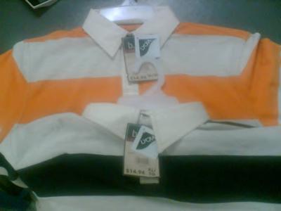Mens Polo Shirt (Mens Polo Shirt)