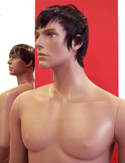 Male Mannequin