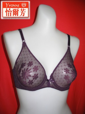 One Piece See Through Bra (One Piece See Through Bra)
