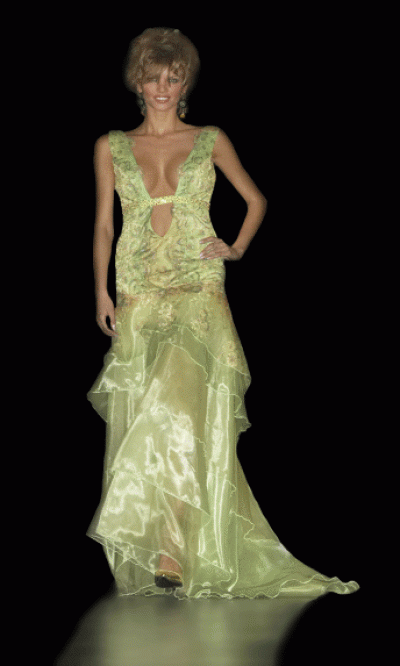 Extravaganza Collection Evening Dress (Extravaganza Collection Evening Dress)