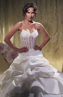 Wedding Dress (Wedding Dress)