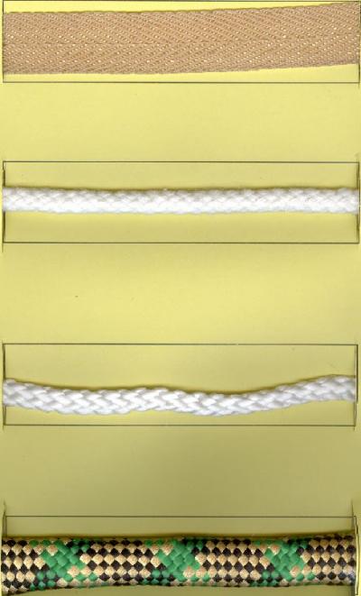 Webbing