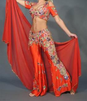 Belly Dance Professional Costume (Belly Dance Professional Costume)