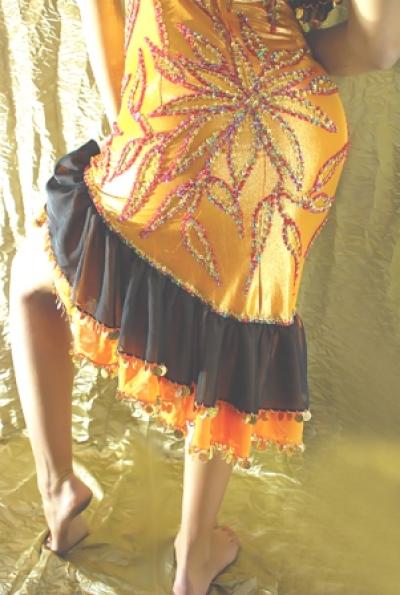 Belly Dance Egyptian Saidi Costume (Танец живота Саиди египетского костюма)