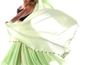 Belly Dancing Veil (Belly Dancing Veil)