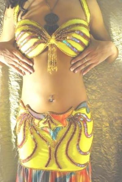 Belly Dancing Professional Costume (Belly Dancing Professional Costume)