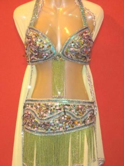 Belly Dance Professional Costume (Belly Dance Professional Costume)