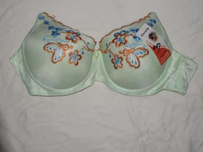 Ladies Bras (Ladies Bras)