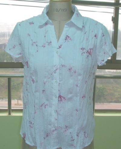 Lady`s Crushed Blouse