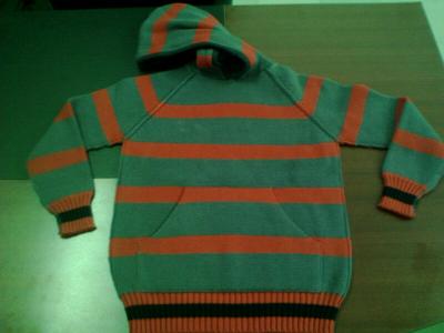 Boys` Sweater (Boys` Sweater)
