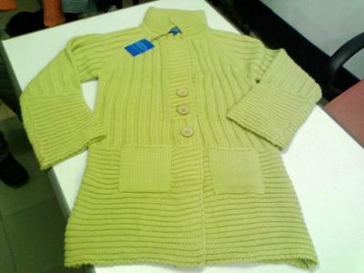 Ladies` Sweater (Ladies` Sweater)