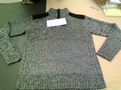Men`s Sweater (Men`s Sweater)