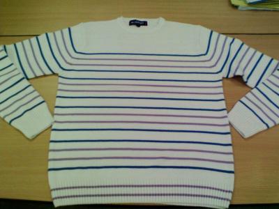 Men`s Sweater (Men`s Sweater)