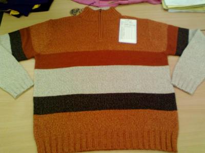 Mens Sweater (Mens Sweater)
