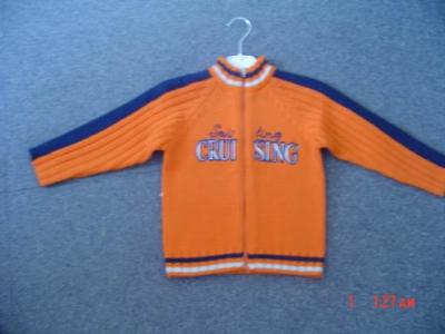 Boys Cotton Sweater (Boys Cotton Sweater)
