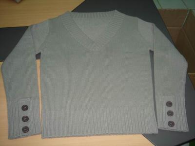 Ladys Sweater (Ladys Sweater)