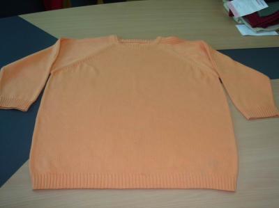 Men`s Sweater (Men`s Sweater)
