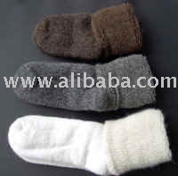 Terry Socken (Terry Socken)