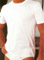 T-Shirt (T-Shirt)