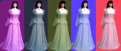 Evening / Bridal Dress (Soirée / Robe de mariée)