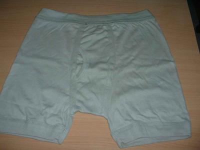 Undergarments (Unterwäsche)