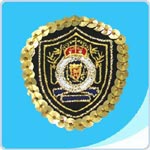 Embroidered Patch (Embroidered Patch)