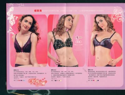 Ladies Bra