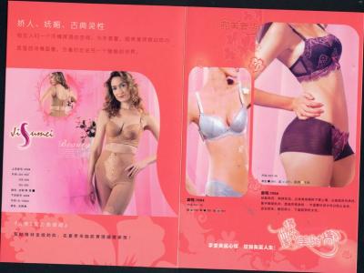 Ladies Bra