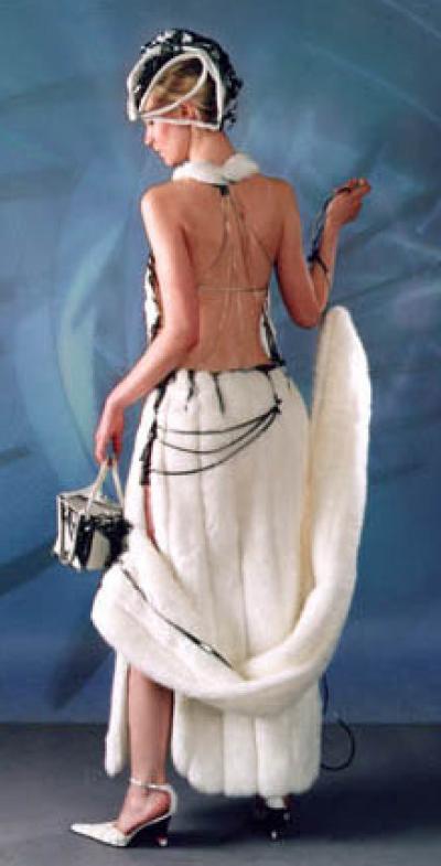 Wedding Dress (Wedding Dress)