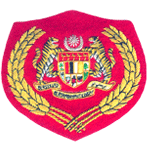 Hand Embroidery Bullion Wire Badge (Ручная вышивка Bullion Wire Знак)
