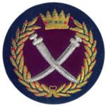 Hand Embroidery Bullion Wire Badge (Ручная вышивка Bullion Wire Знак)