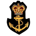 Hand Embroidery Bullion Wire Badge (Ручная вышивка Bullion Wire Знак)