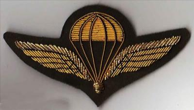 Hand Embroidery Bullion Wire Wings, Badges, Crests (Ручная вышивка Bullion Wire Wings, Значки, гербы)